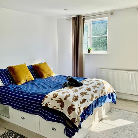 Family Home In Seaside Town Hastings Bagian luar foto